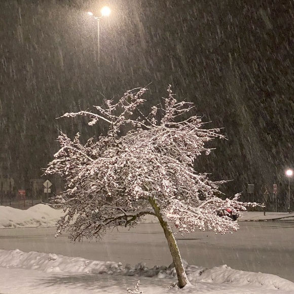 Meet your Posher, Kathleen - Picture 1 of 1